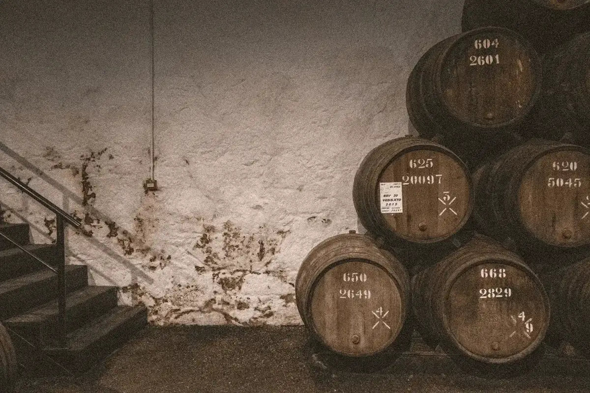 Wine cellar with barrels